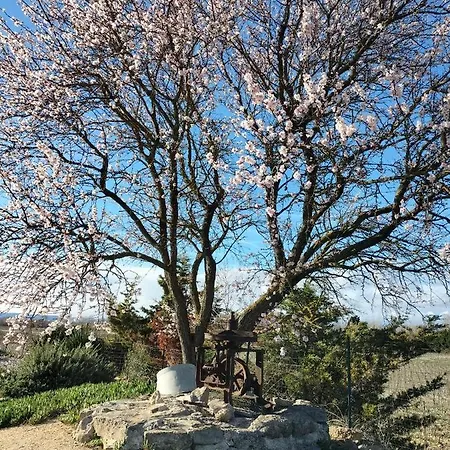 Apartmán , 1, Confortable Et Calme Au Millieu Des Vignes Moussan