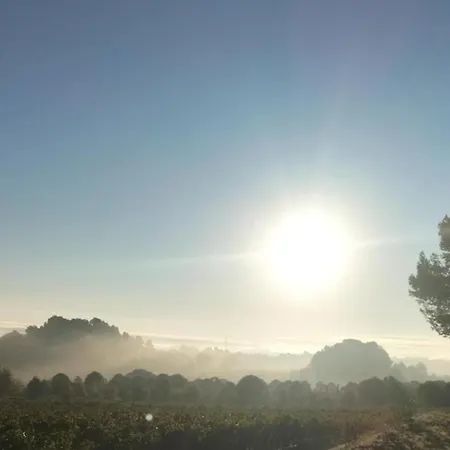 , 1, Confortable Et Calme Au Millieu Des Vignes