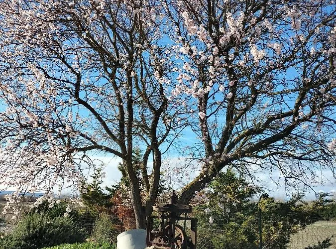 アパート Confortable Et Calme Au Millieu Des Vignes Moussan
