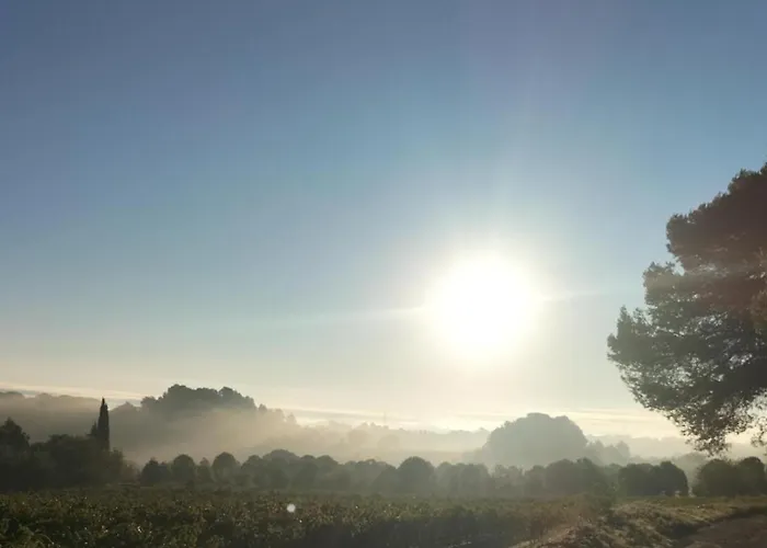 Confortable Et Calme Au Millieu Des Vignes